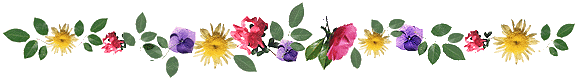 bar02.gif (13534 bytes)